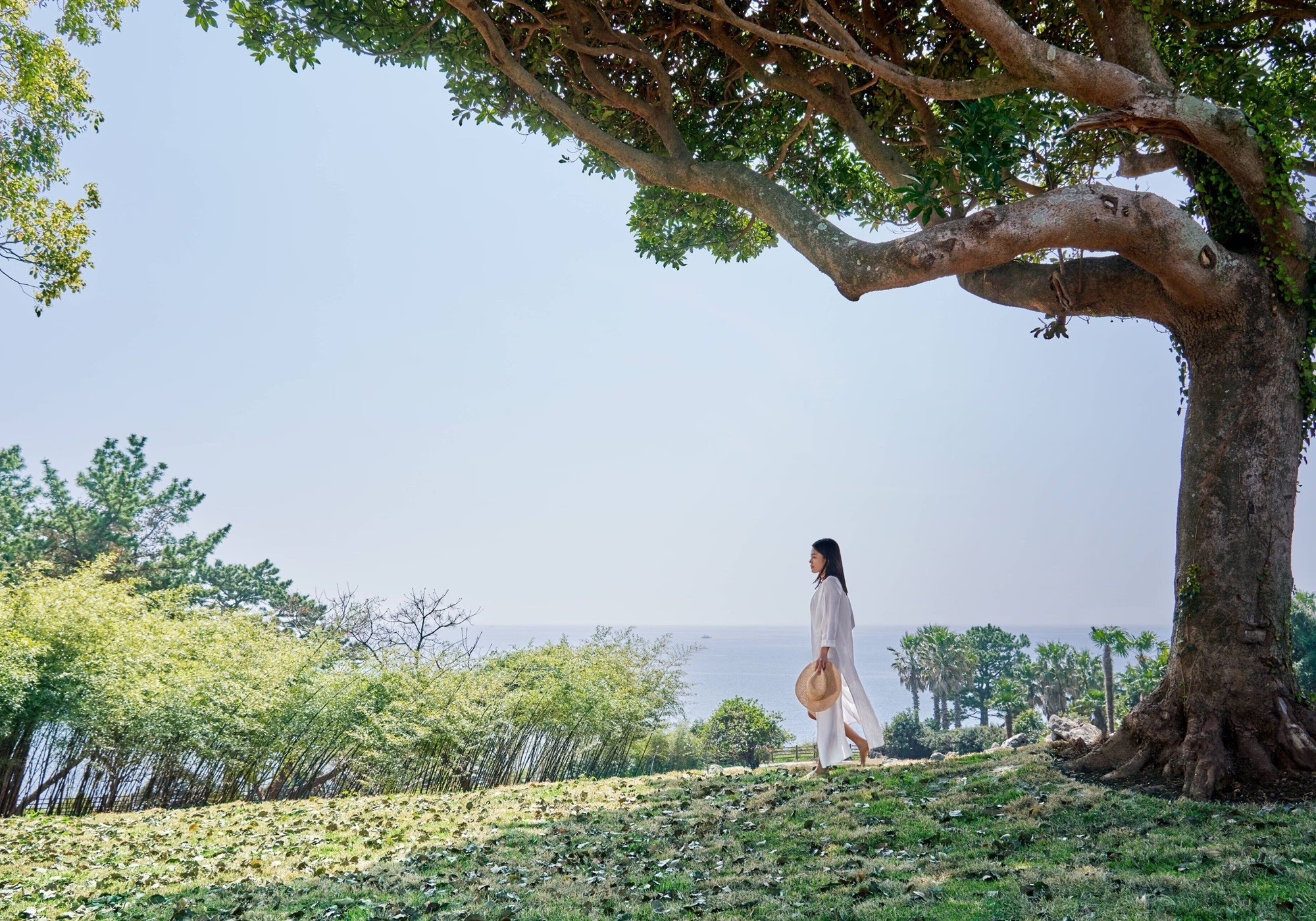 jw 메리어트 제주 수영장 추천
