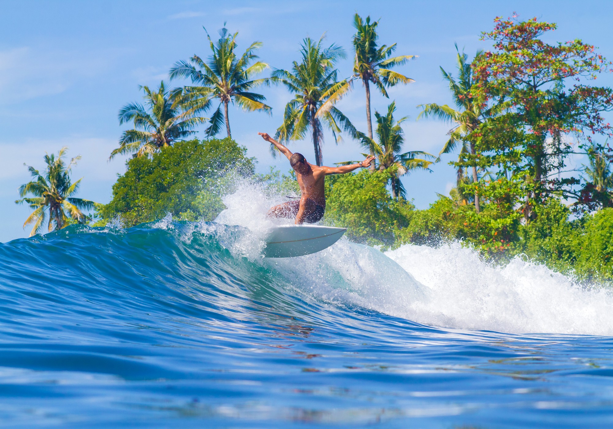 발리 여행