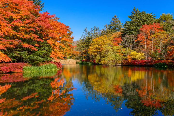 카루이자와, 일본